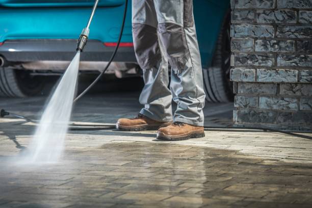 Best Soft Washing  in South Whittier, CA