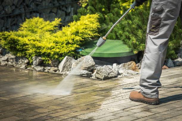 Best Animal Enclosure Cleaning  in South Whittier, CA
